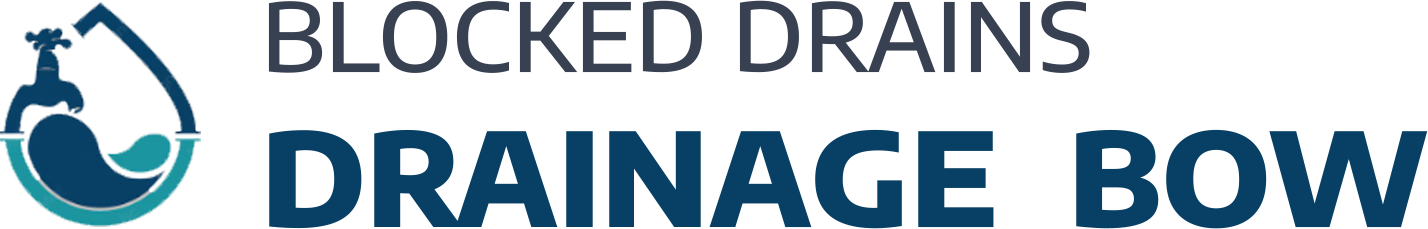 website logo